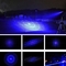 Nacht jagt 450 Nanometer blauen Laser-Zeiger mit verschiedene Spitzen-hellen Suchlichtern